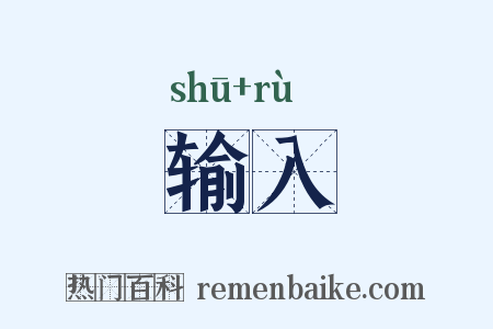 输入是什么意思的图片